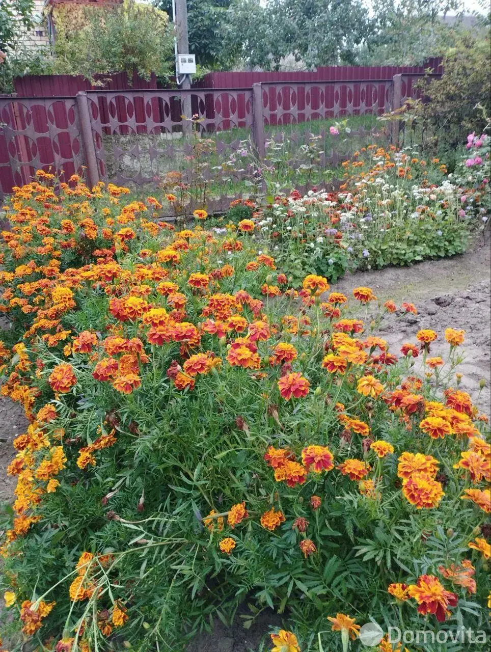 Купить 1-этажную дачу в Мичуринец - 87 Дзержинский район Минская область, 19900USD, код 184566 - фото 23