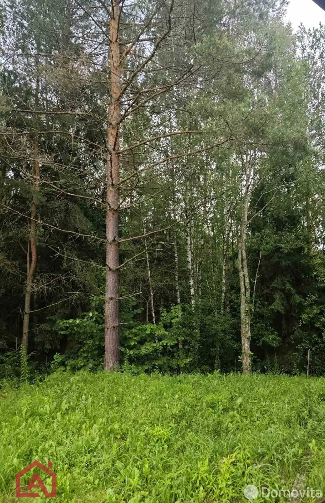 Купить земельный участок, 15 соток, Мончаки, Минская область, 89000USD, код 570778 - фото 13