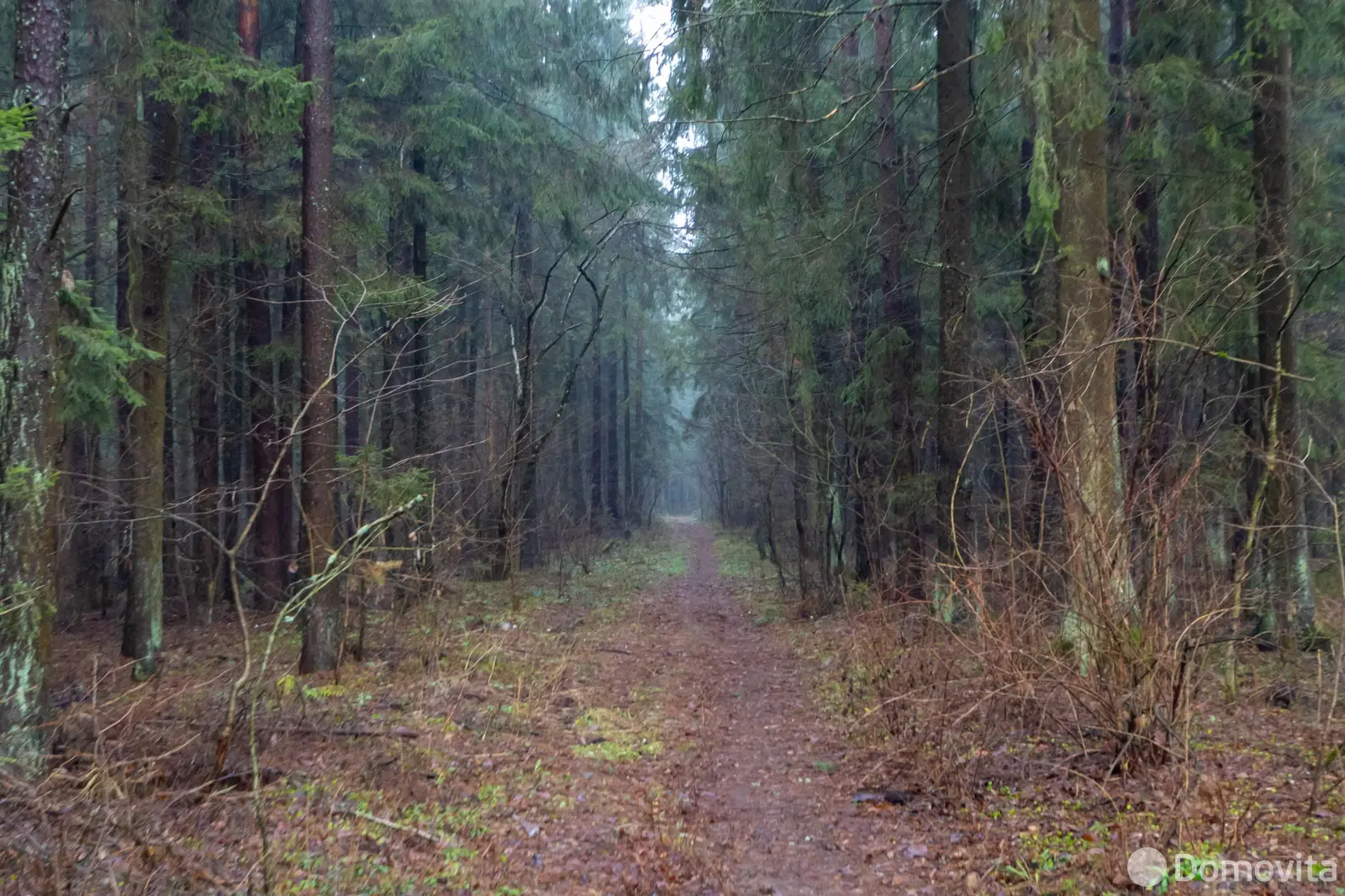 Купить 2-этажную дачу в Автомобилист-04 Минская область, 39000USD, код 181274 - фото 32