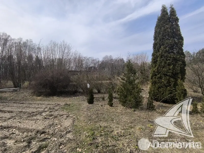 Купить 2-этажную дачу в Буг Жабинковского района Брестская область, 15000EUR, код 181980 - фото 18