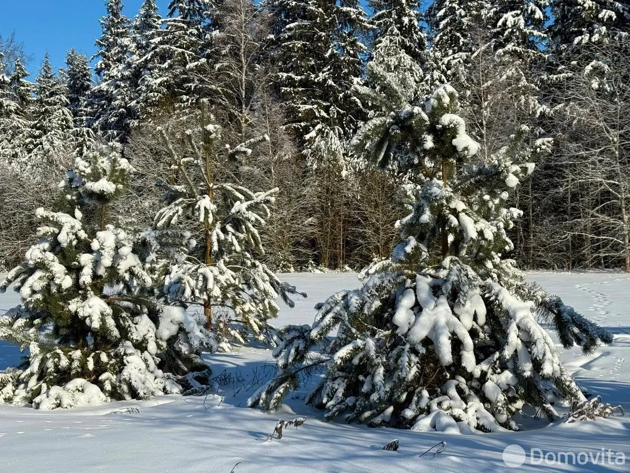 Купить земельный участок, 15 соток, Каралино, Минская область, 65000USD, код 571590 - фото 3