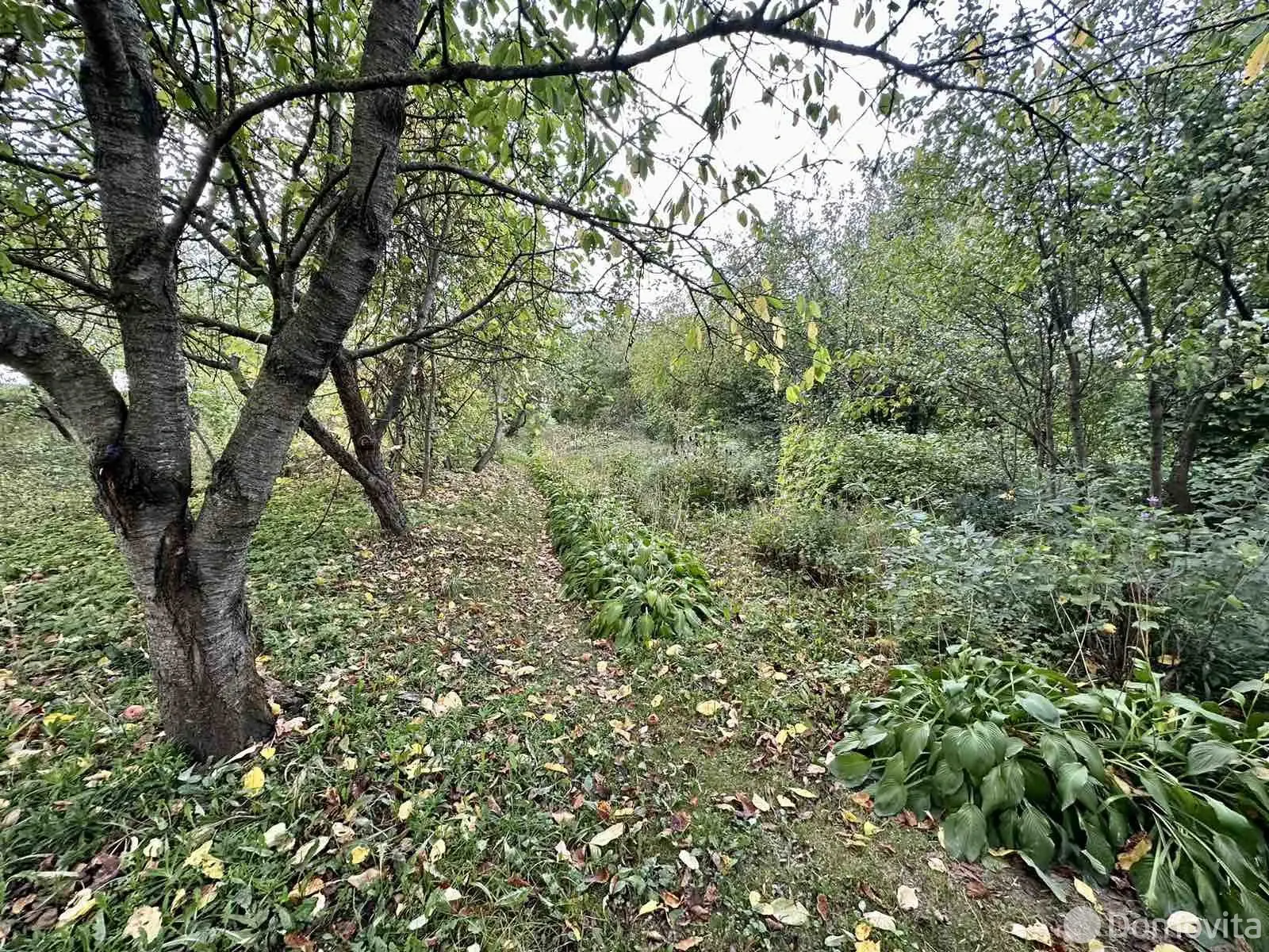 дом, Колпаки, 