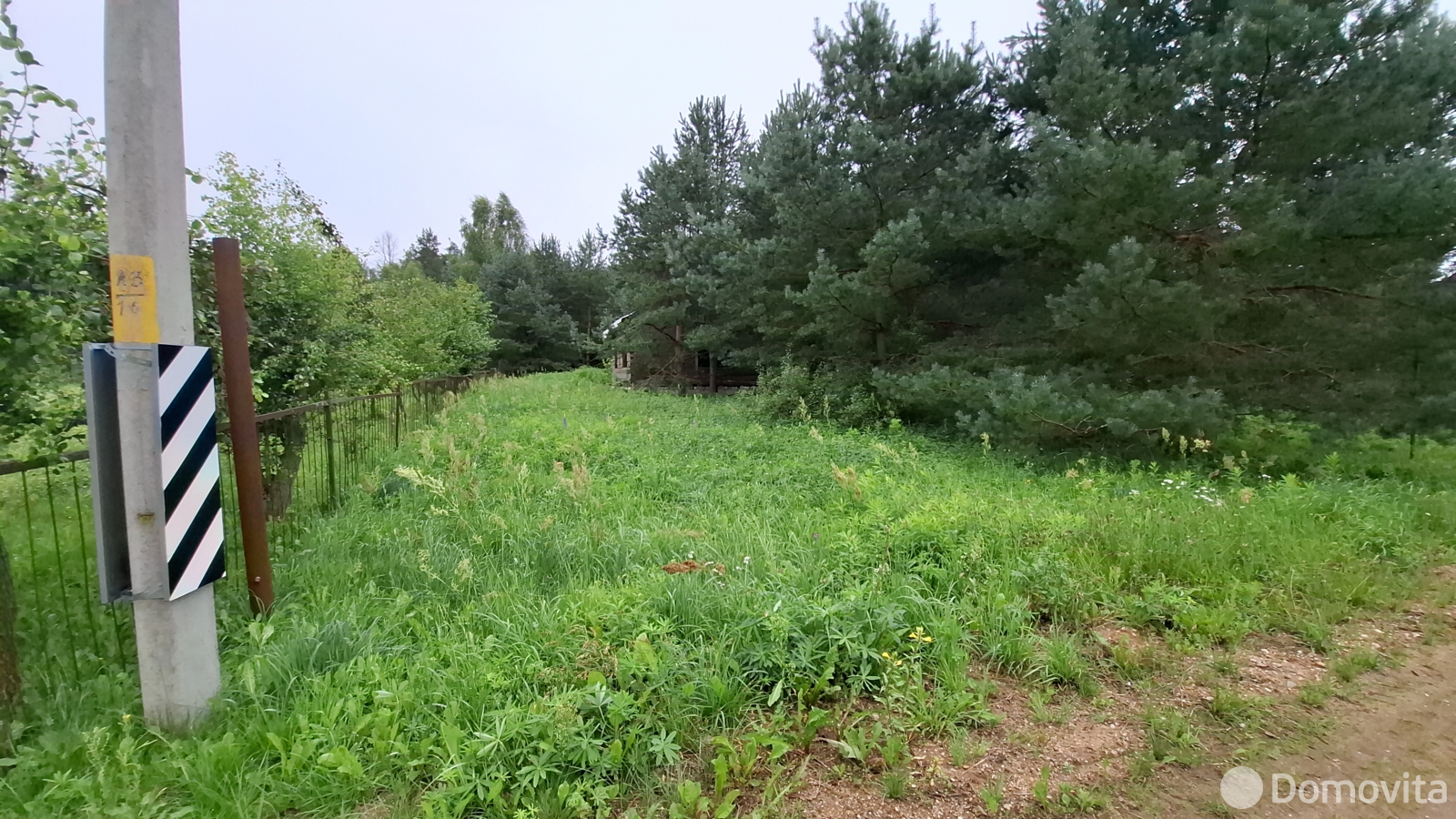 участок, Молоди, 