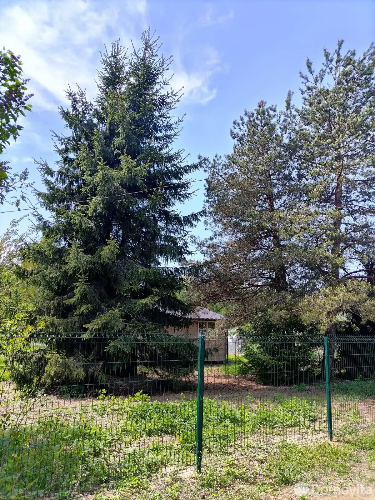 Продажа 1-этажной дачи в Латушках Витебская область, 45000BYN, код 186207 - фото 22
