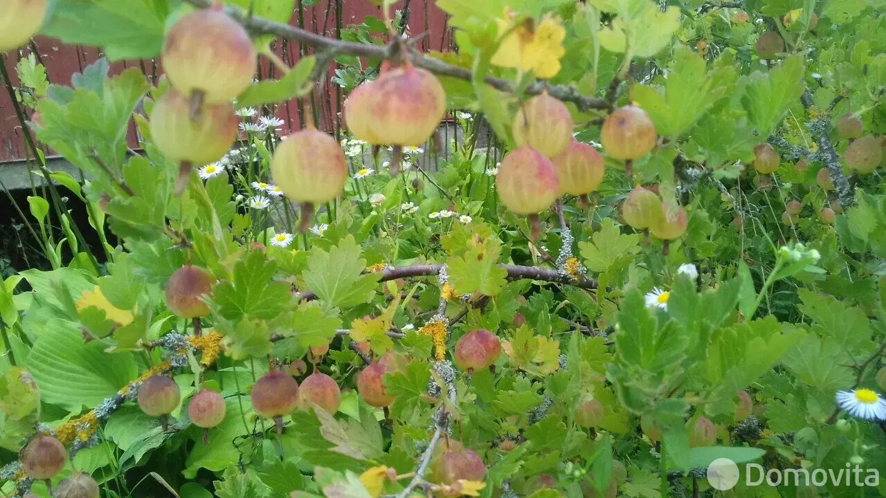 Продажа 2-этажной дачи в ВЯСЕЛКА-1 Минская область, 19500USD, код 182779 - фото 17