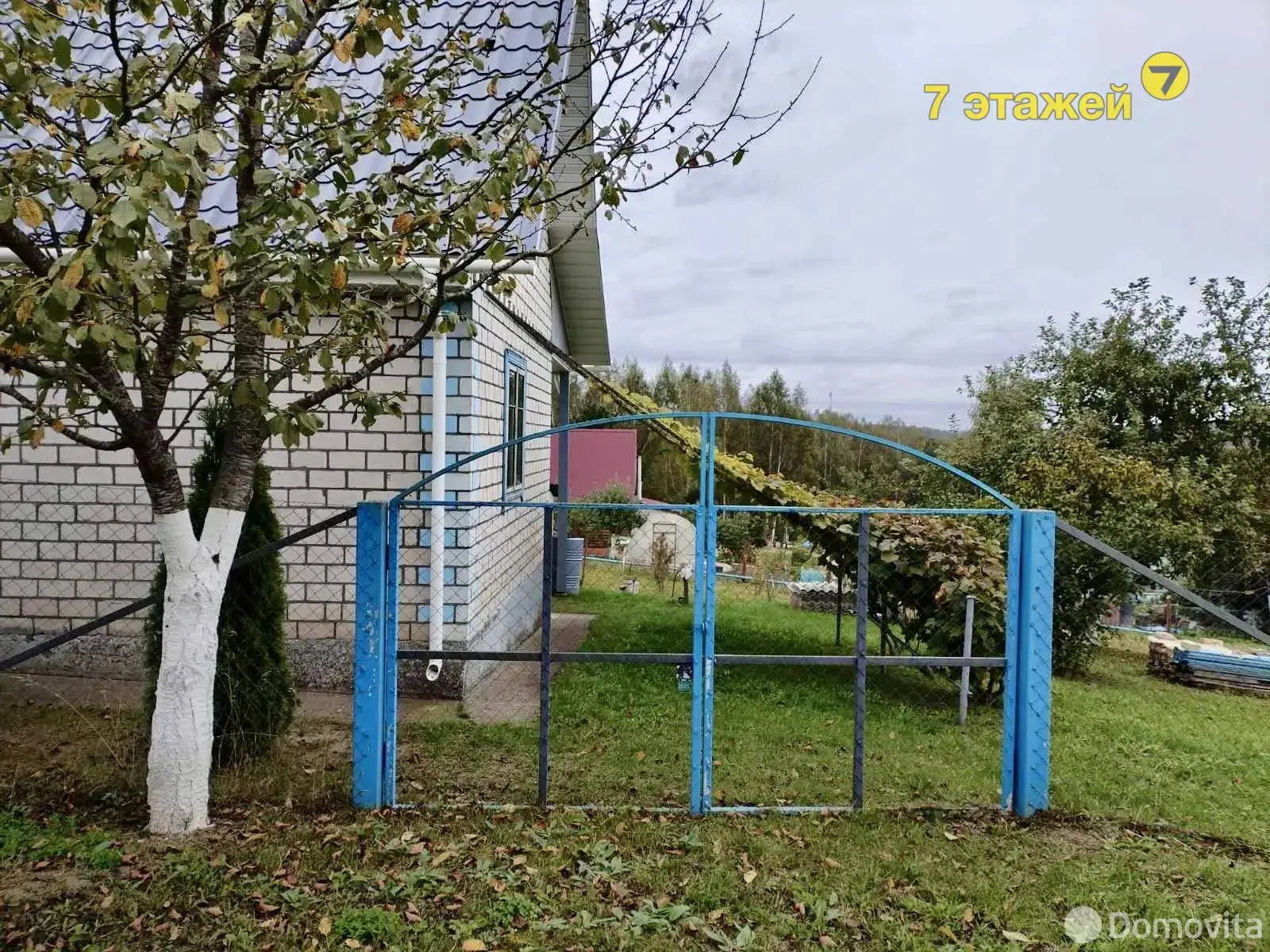 дача, РАМОНАК-МАЗ, 