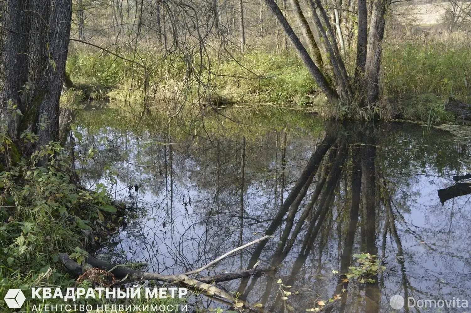 дом, Дуброва, , стоимость продажи 116 348 р.