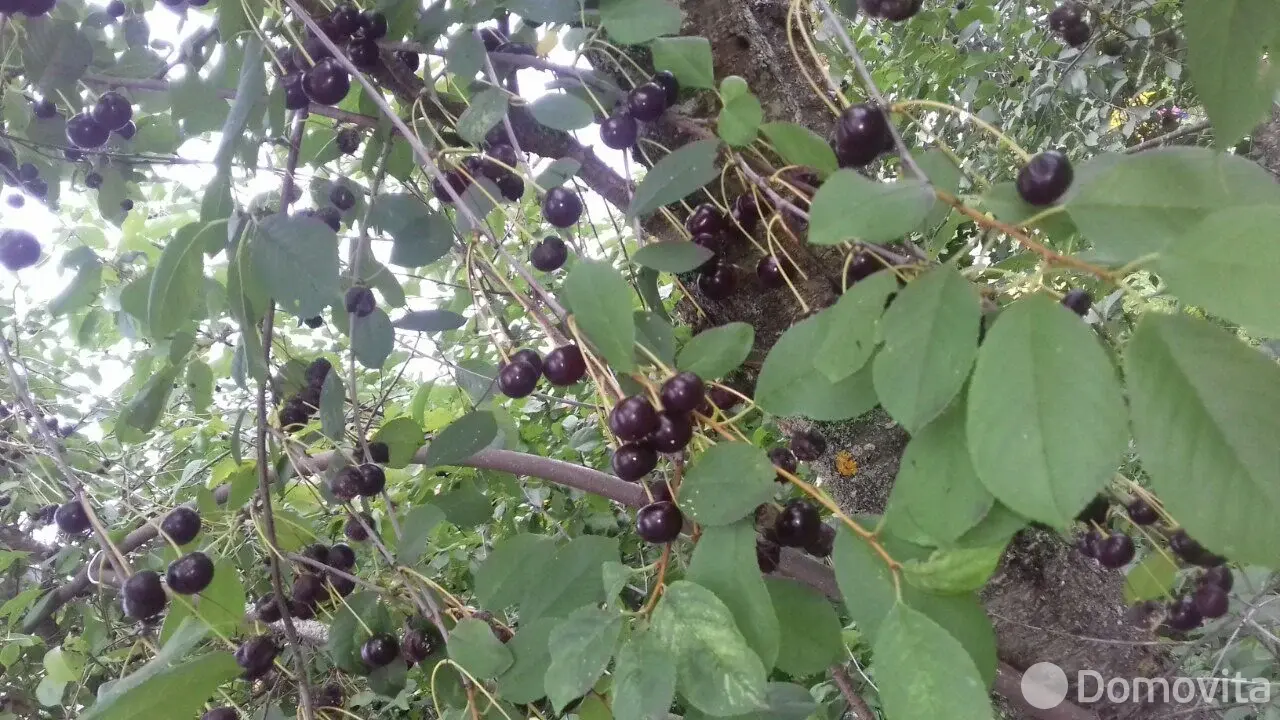 Продажа 2-этажной дачи в ВЯСЕЛКА-1 Минская область, 19500USD, код 182779 - фото 16