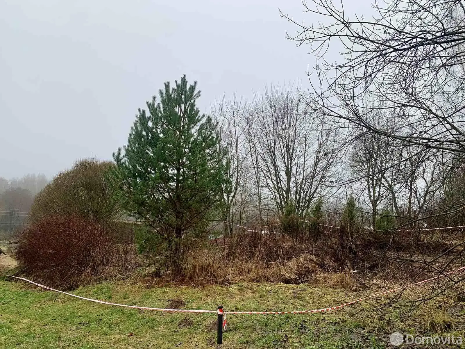 дом, Венделево, ул. Центральная