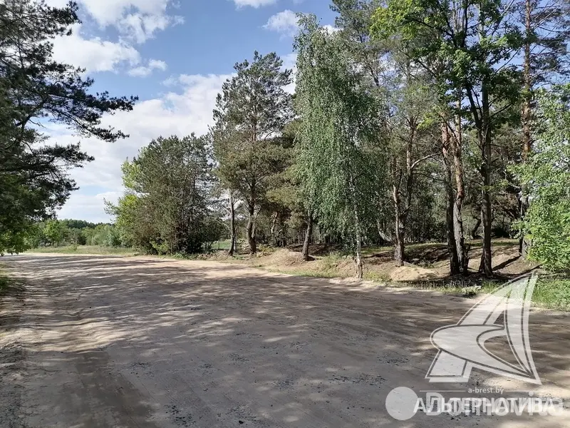 Продажа 2-этажной дачи в Березовая роща 395 Брестская область, 142000USD, код 168457 - фото 16