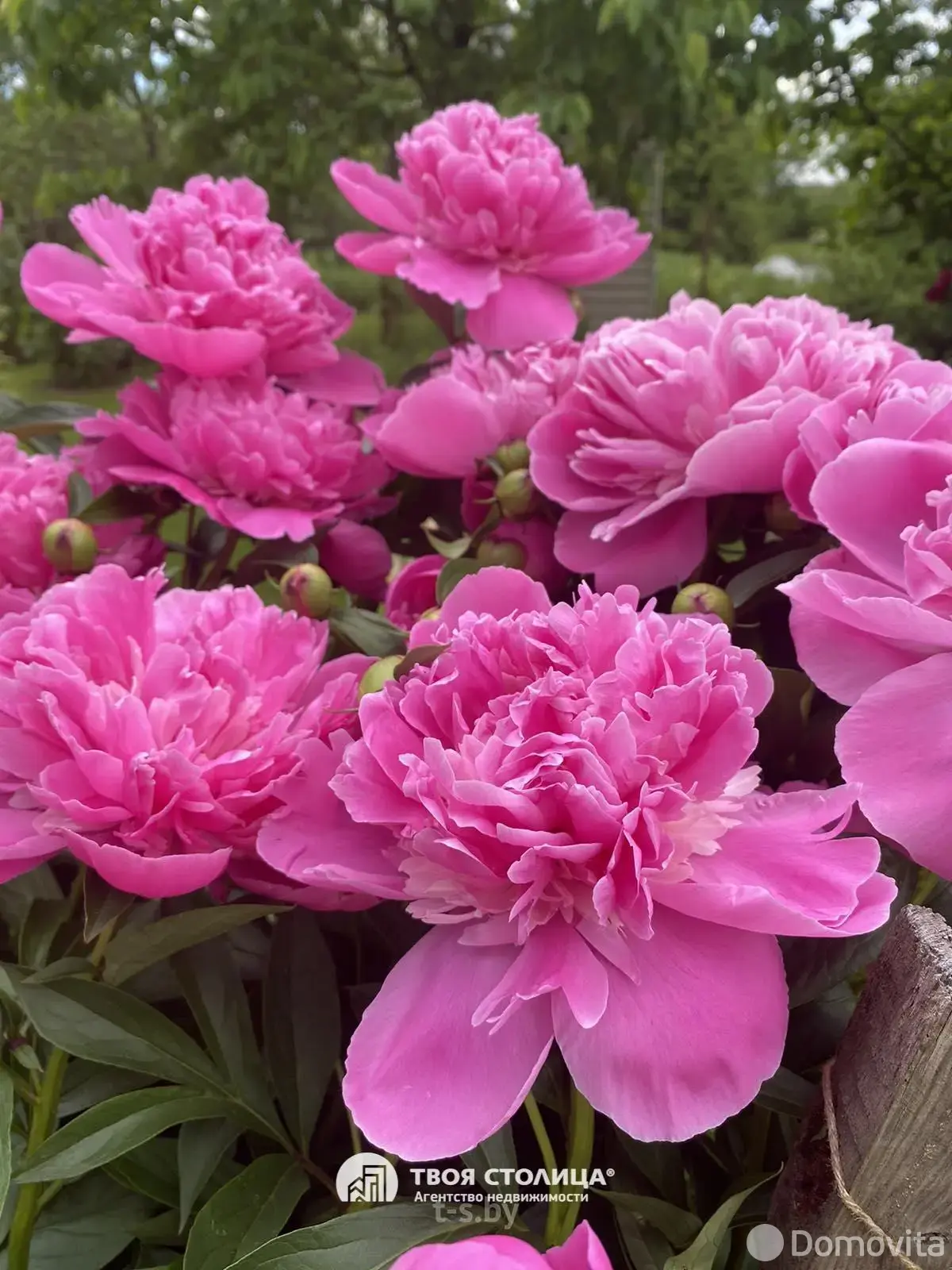 Купить 2-этажную дачу в Юхновке Минская область, 55000USD, код 181716 - фото 35