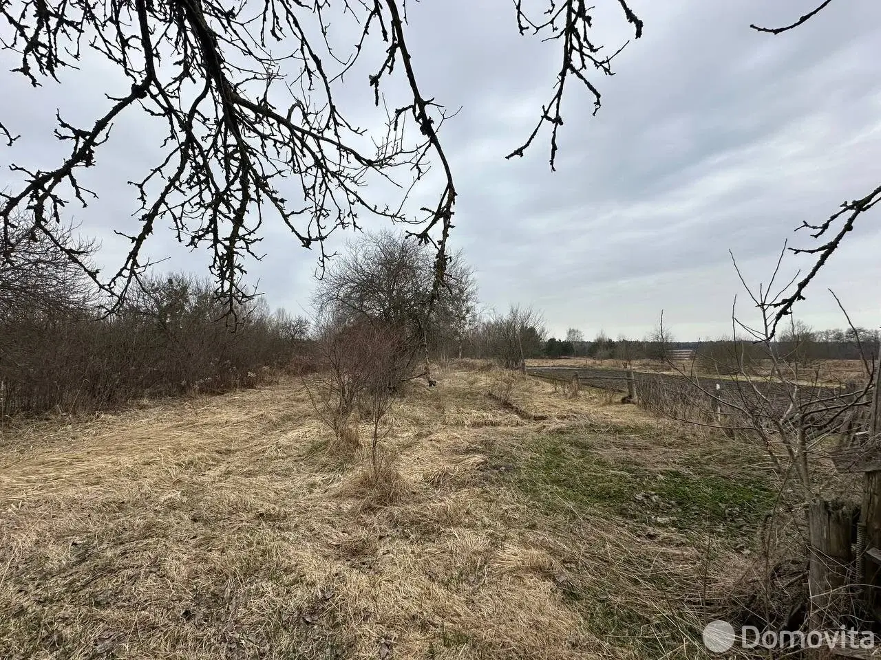 участок, Теребейное, д. 23 - лучшее предложение