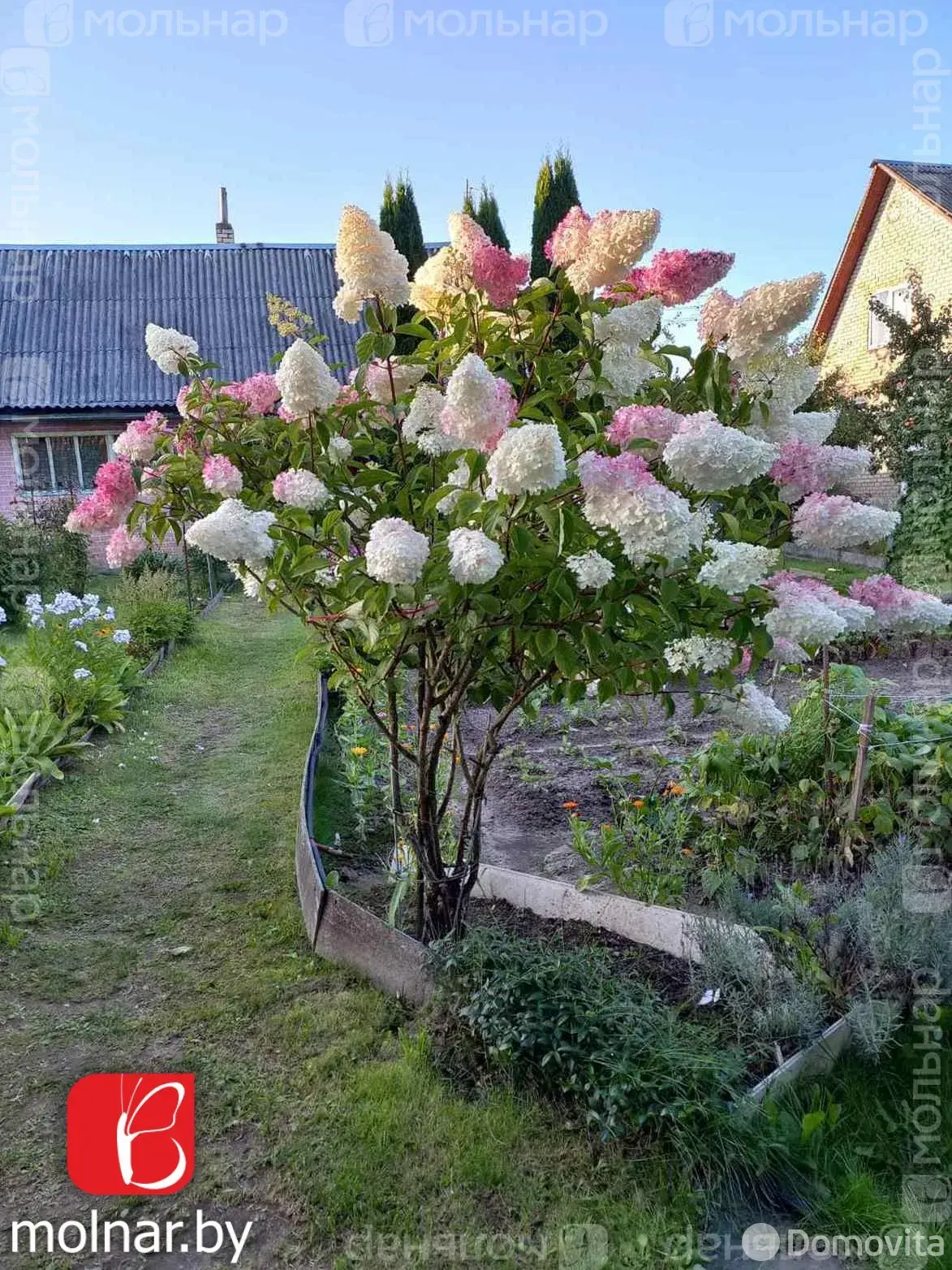 Купить 2-этажную дачу в Анусино Минская область, 17500USD, код 184259 - фото 24