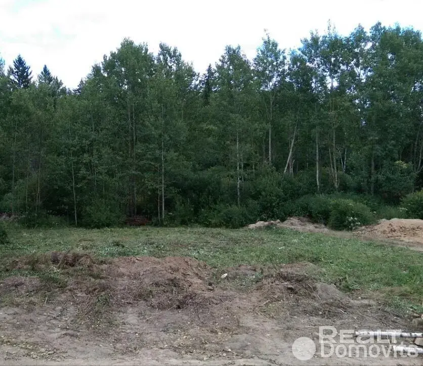участок, Рябиновка,