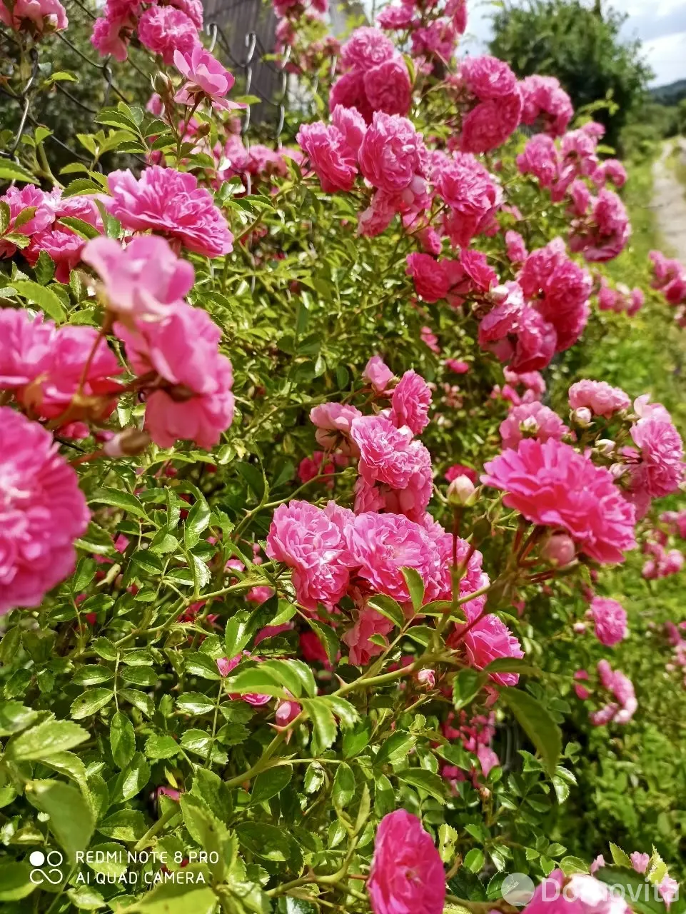 дача, Петришки, - лучшее предложение