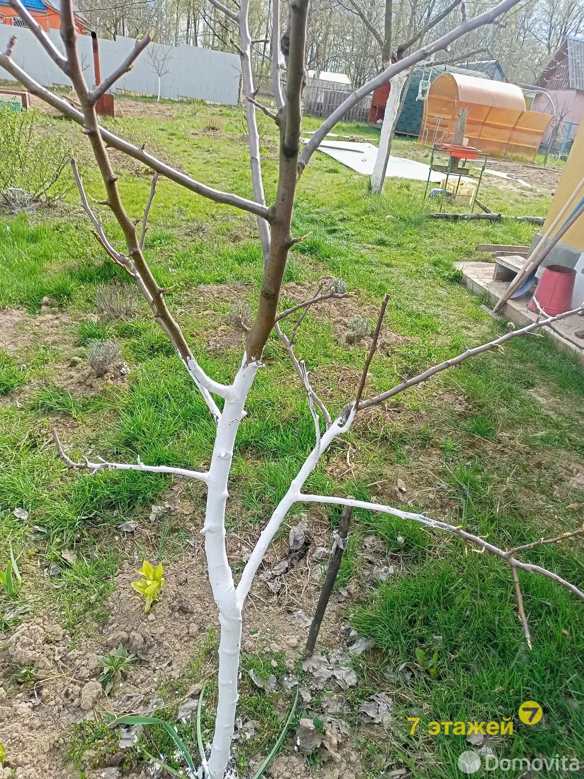 Продажа 1-этажной дачи в Вишневый сад Минская область, 11150USD, код 178393 - фото 49