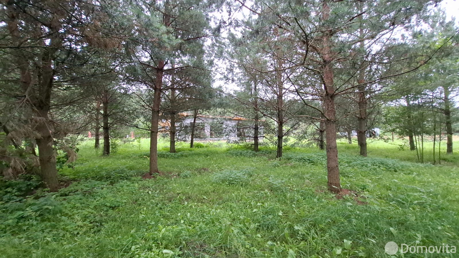 Купить земельный участок, 15.98 соток, Молоди, Минская область, 31000USD, код 570938 - фото 23