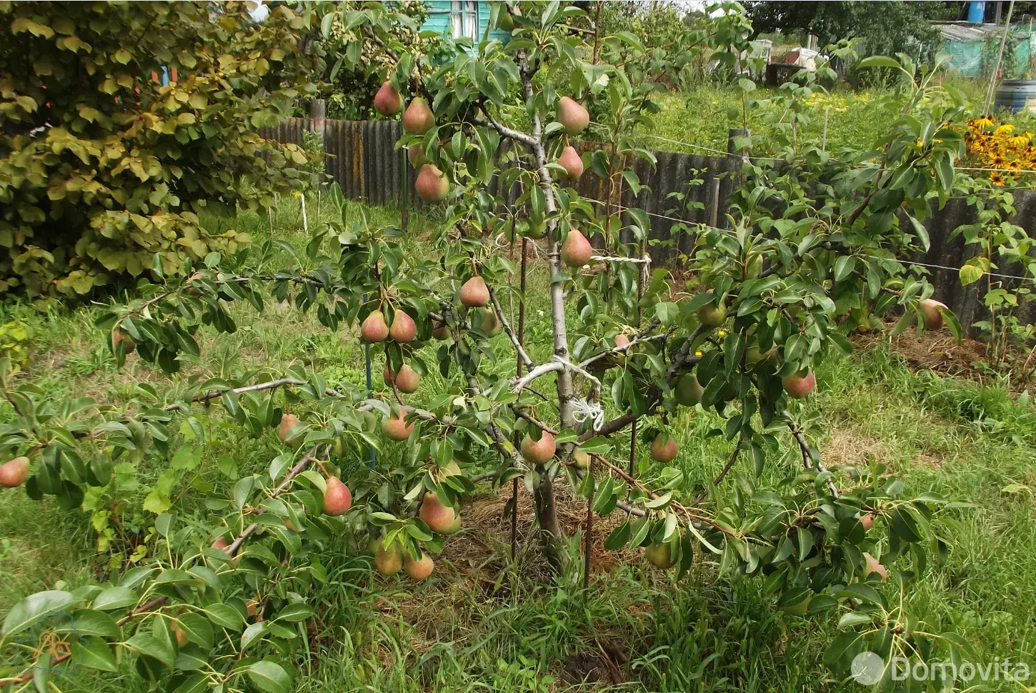 Купить 2-этажную дачу в Луговое Гомельская область, 13000USD, код 183084 - фото 17