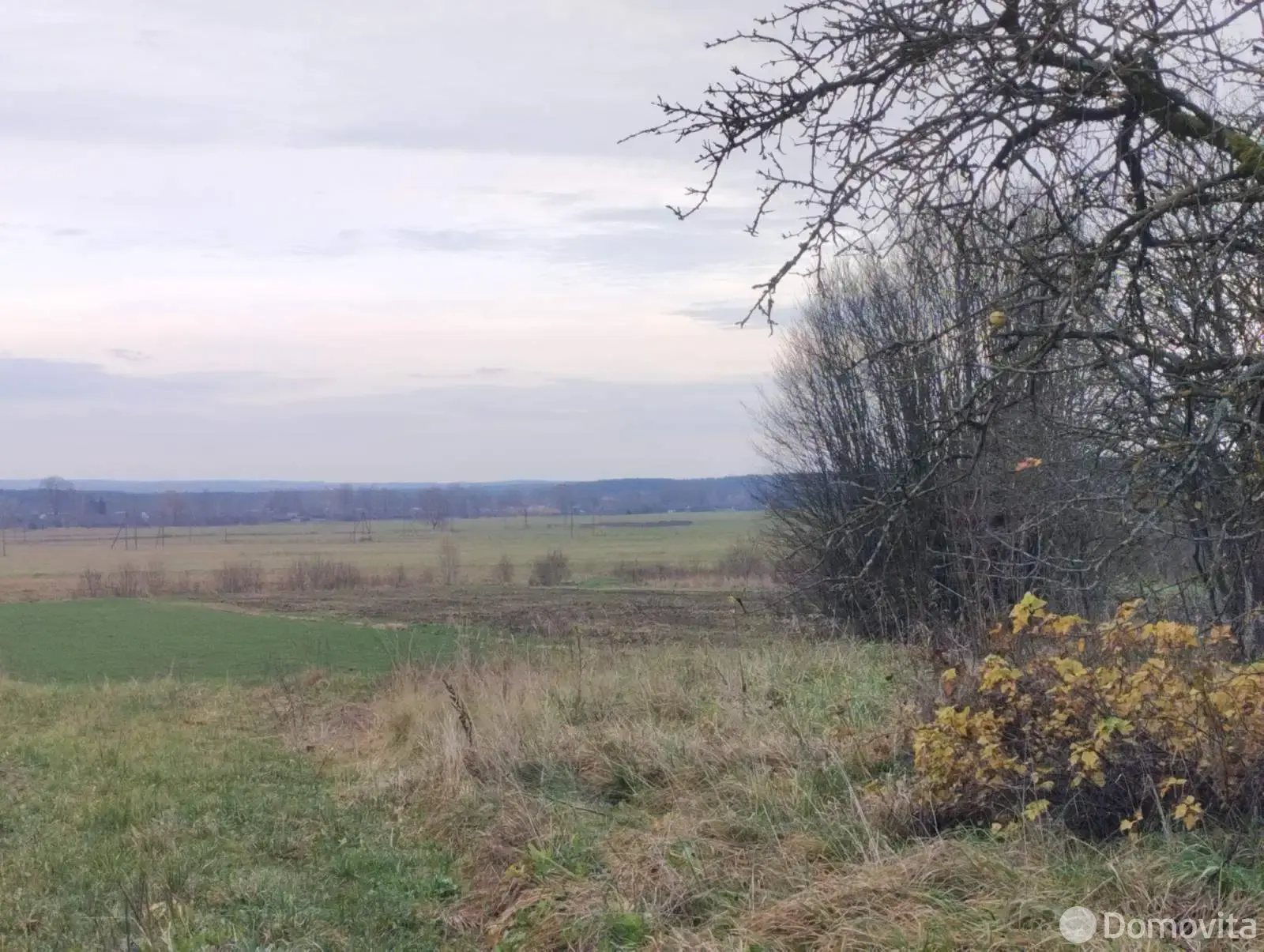 коттедж, Кибы, 