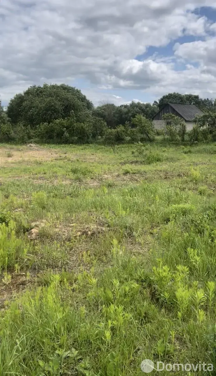 участок, Городок, ул. Молодечненская 