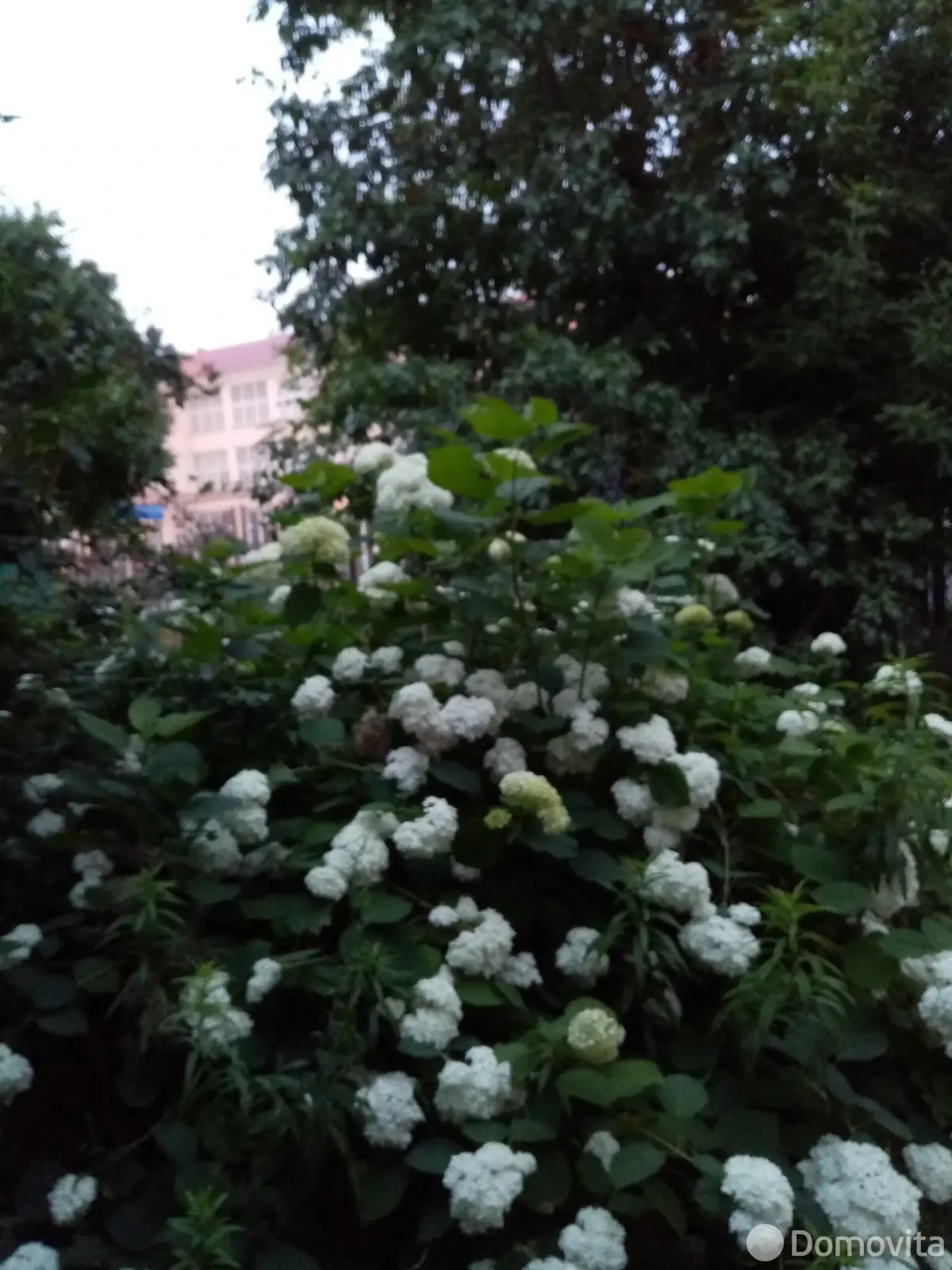 коттедж, Орша, пер. Климента Тимирязева