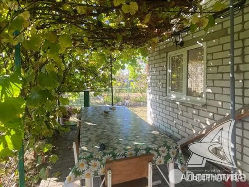 дача, Молодая гвардия 91, 