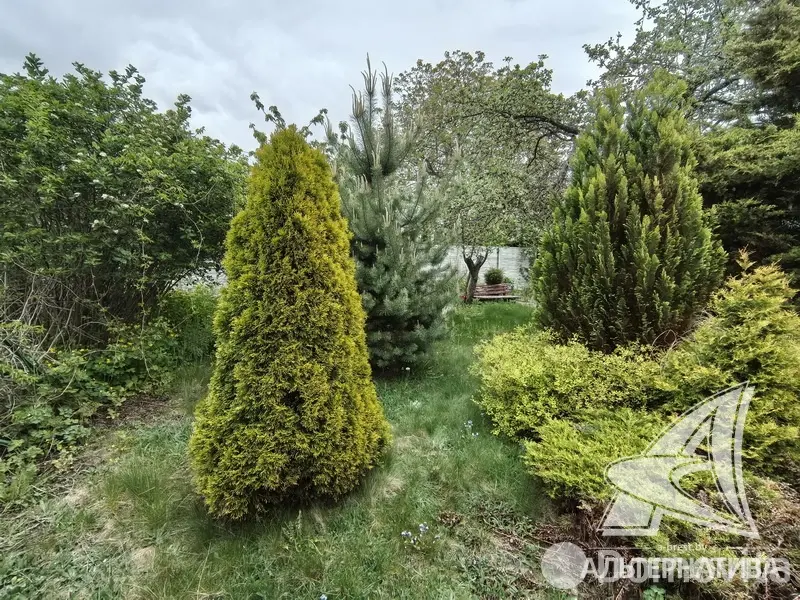 Купить 1-этажную дачу в Суница-80 Брестская область, 83720BYN, код 185703 - фото 18