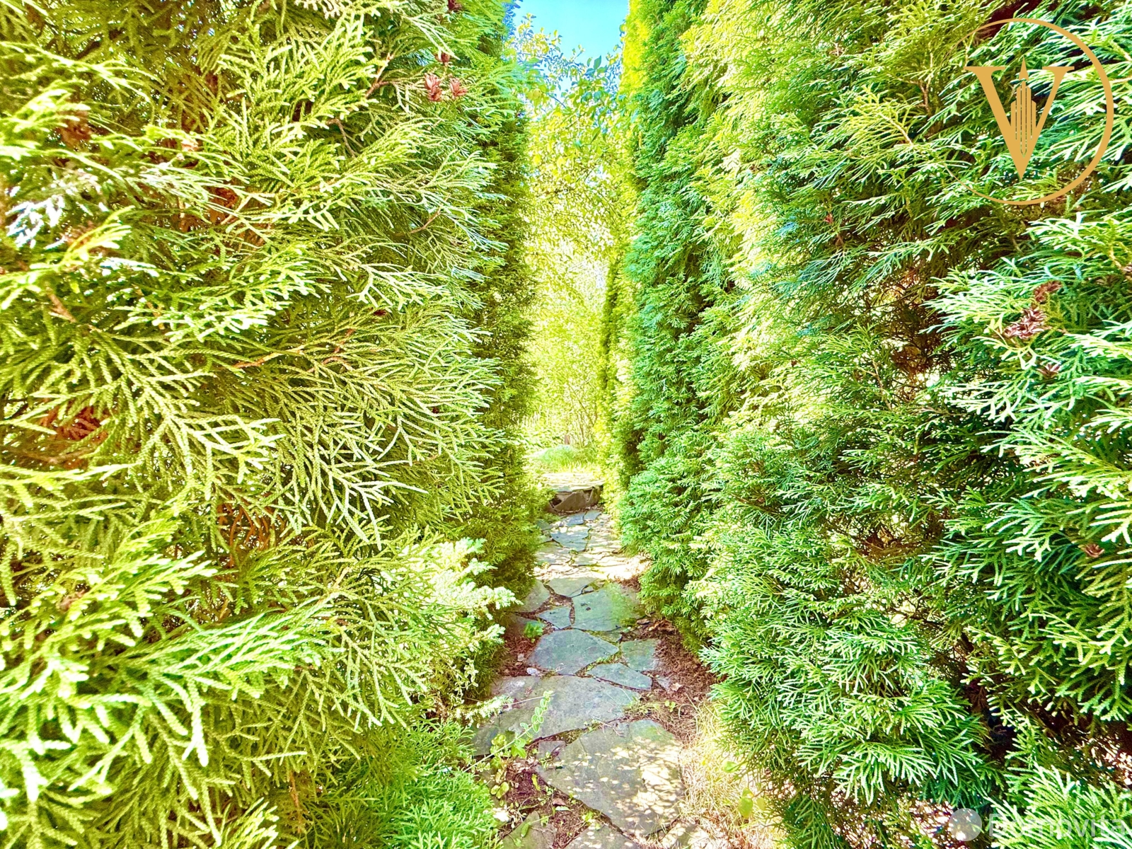 Купить 1-этажную дачу в Чайка Минская область, 49000USD, код 185587 - фото 48