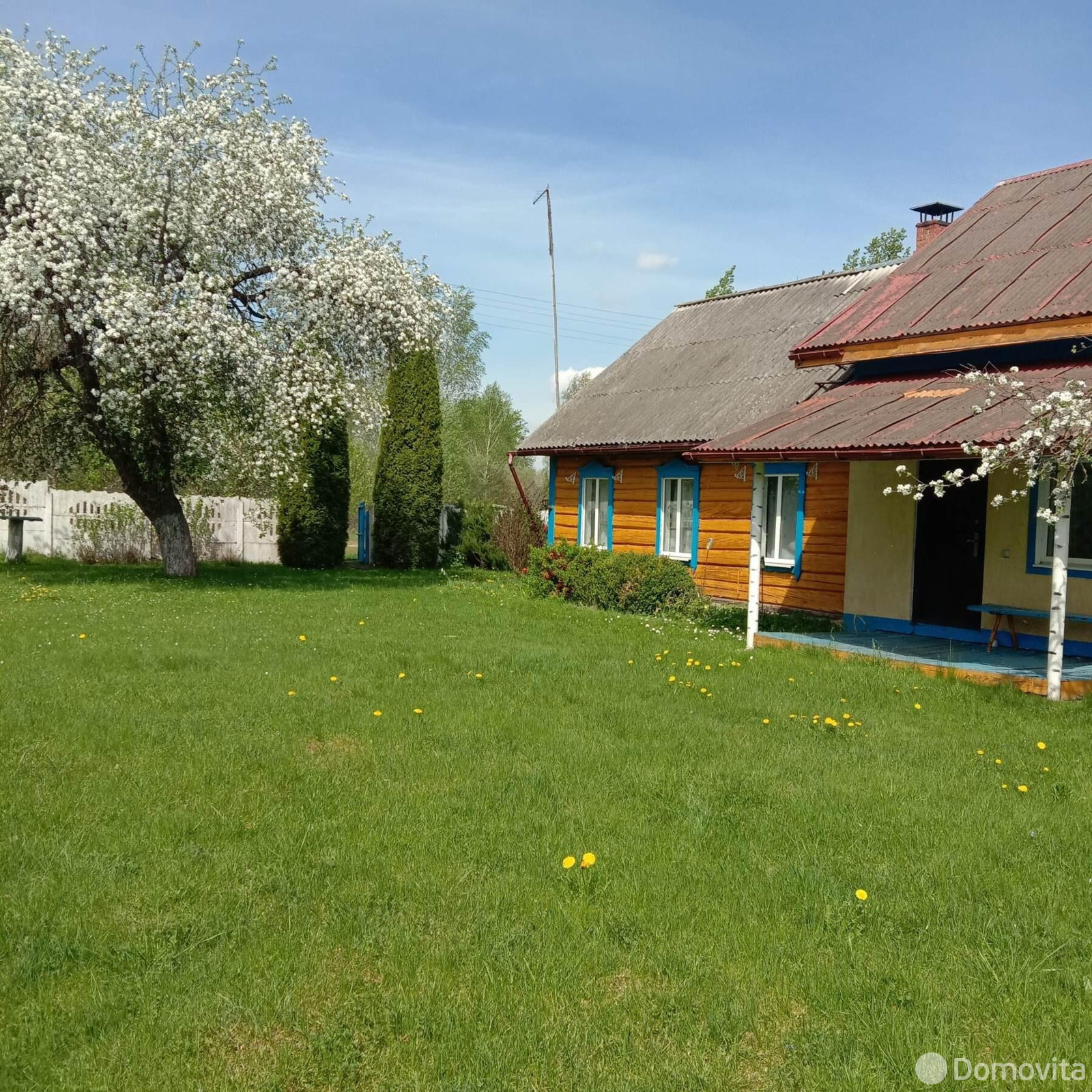 дом, Репище, ул. Центральная, д. 2