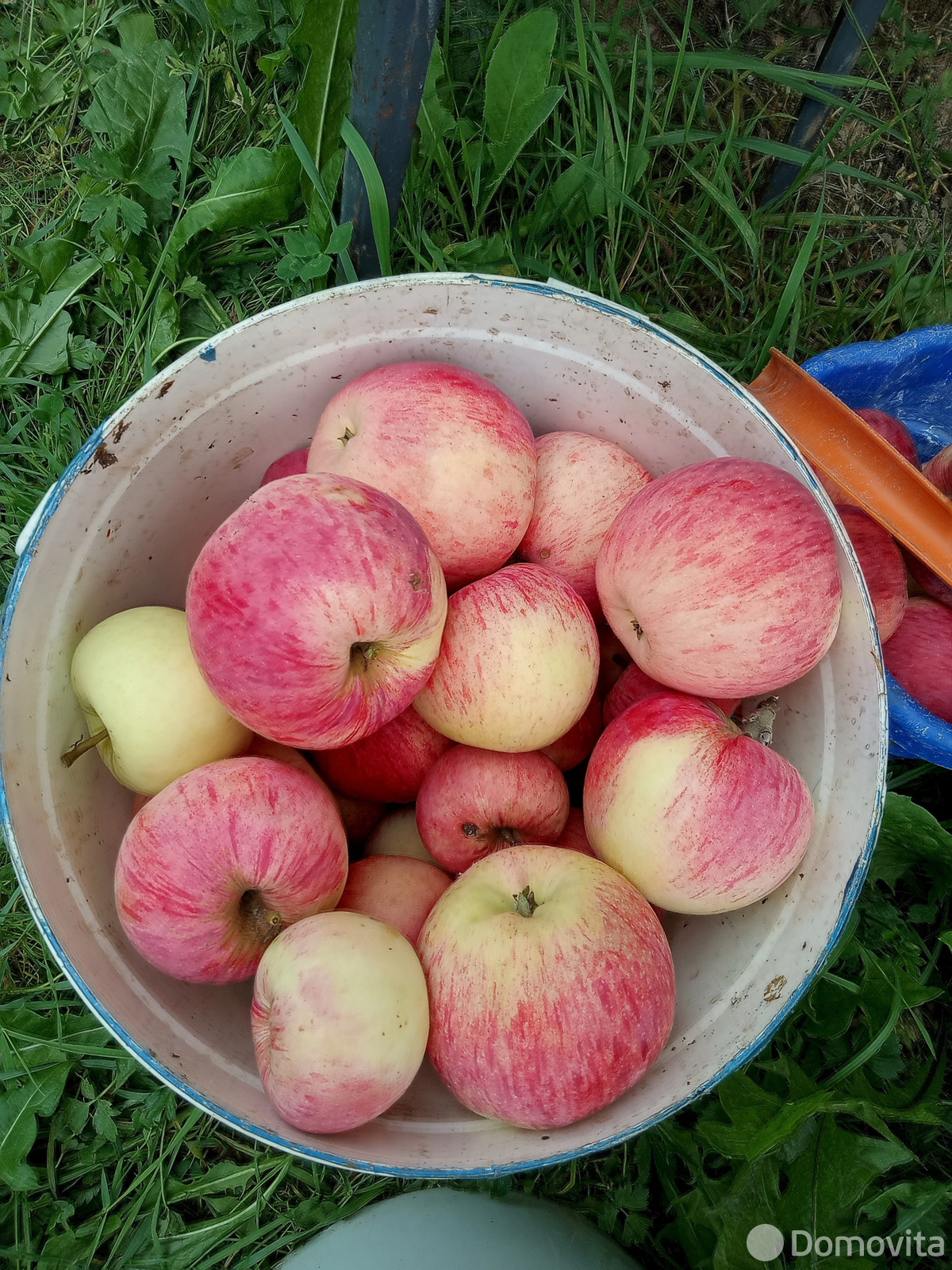 Купить 1-этажную дачу в Олехновичах Минская область, 9369USD, код 182294 - фото 11