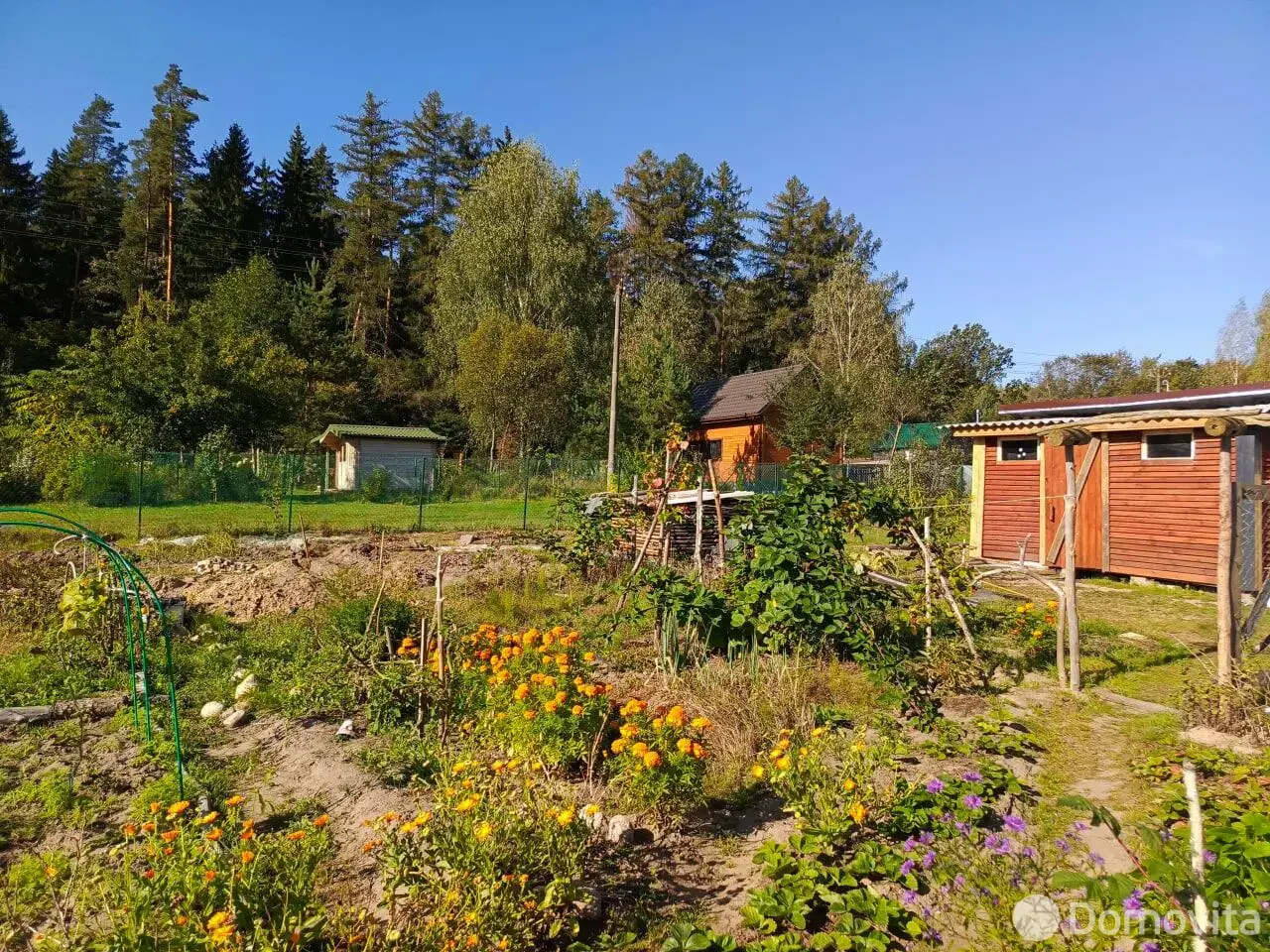 Купить земельный участок, 8.04 соток, 806-ой километр, Минская область, 6000USD, код 568746 - фото 17