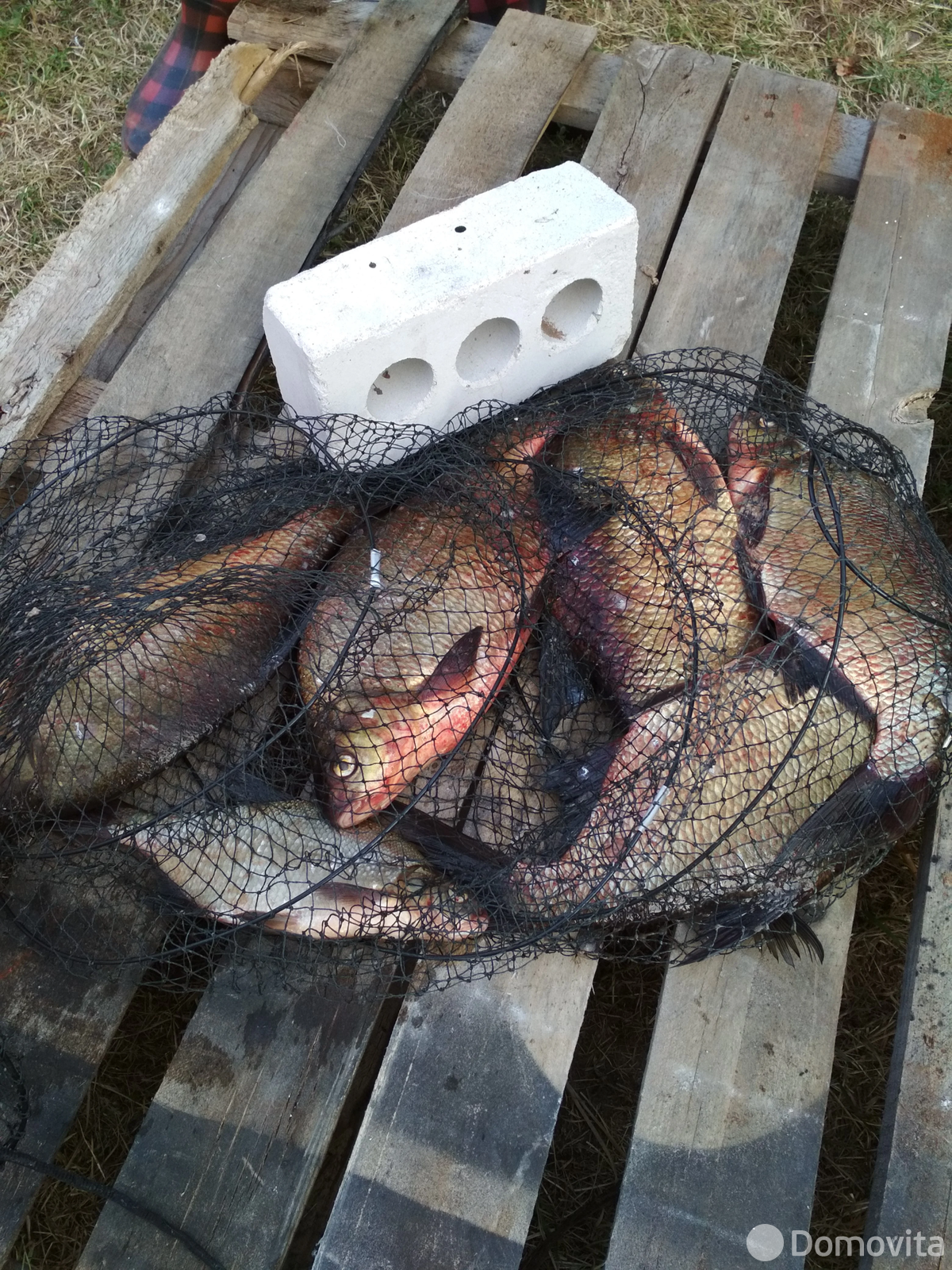 Снять 1-этажный дом в Струголапах, Минская область, , 270USD, код 4716 - фото 11