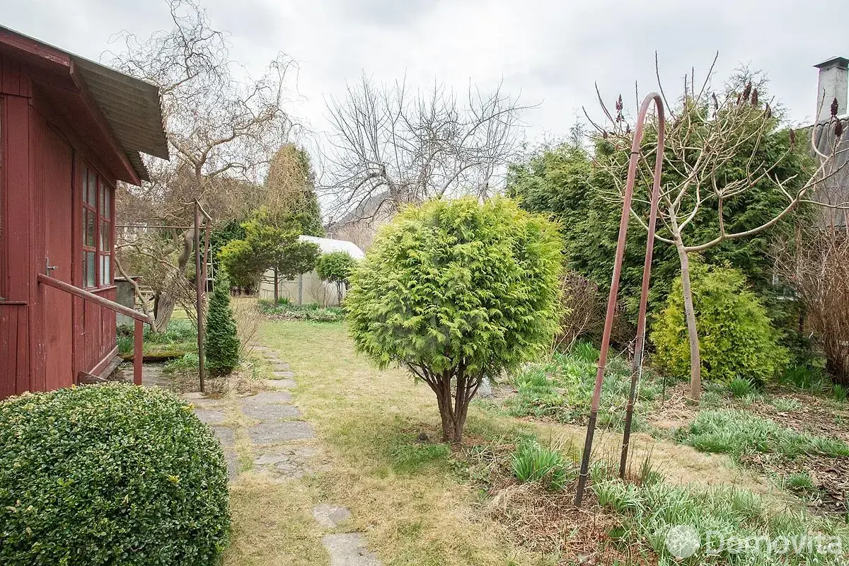 дача, Птичь, 