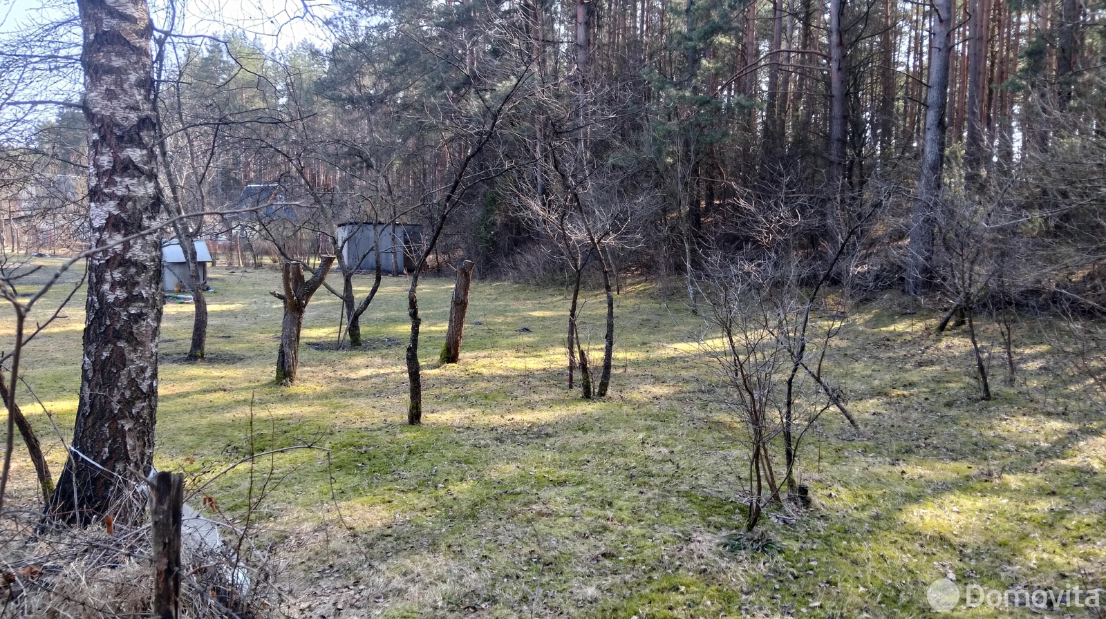 участок, Холодинка, д. 39