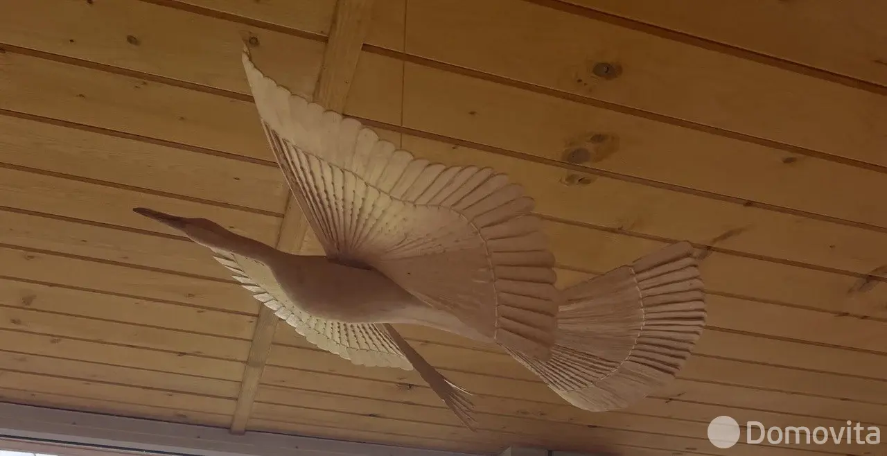  Коттедж Дом в деревне у заповедного леса с баней, купелью и апидомиком на сутки в Клетное , 800BYN, код 1281 - фото 8