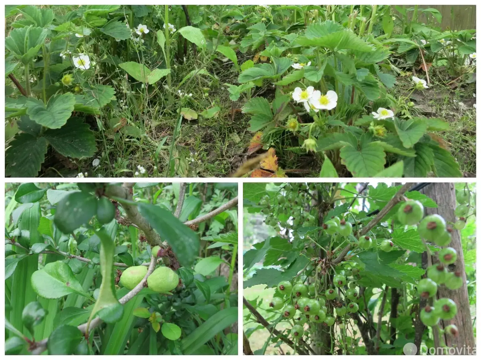 Продажа 2-этажной дачи в Искра Ракова Минская область, 12000USD, код 183113 - фото 27