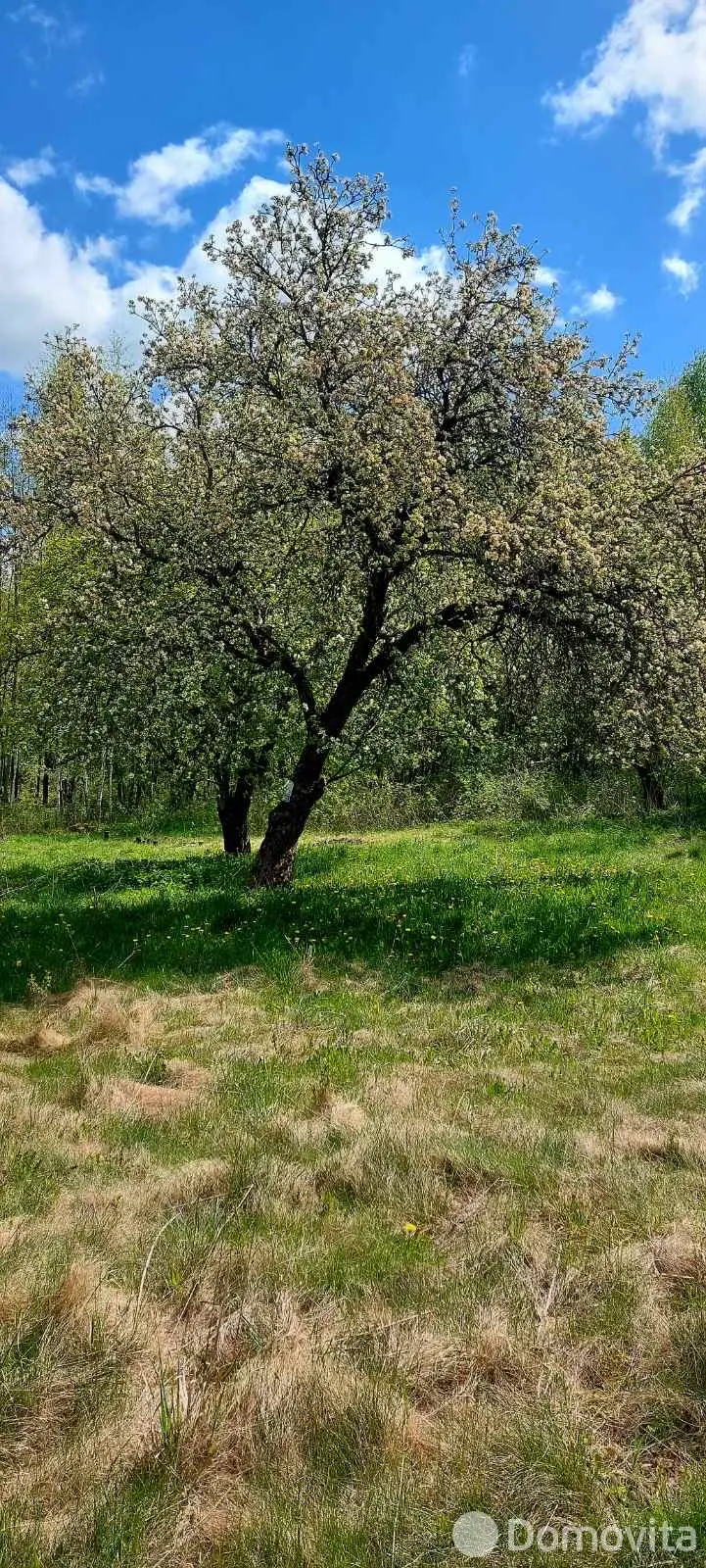 дом, Рудевщина, ул. Центральная 