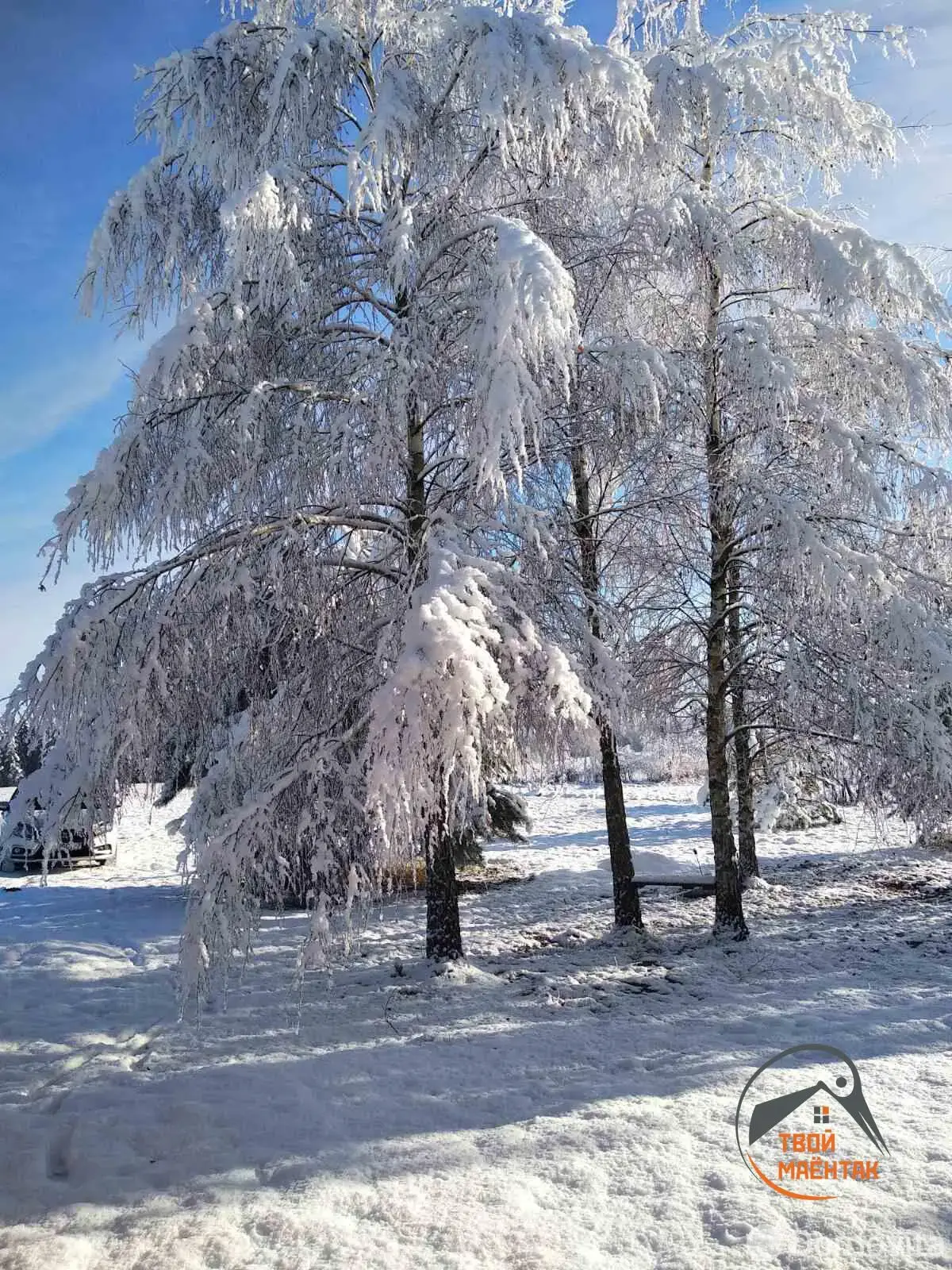 Купить земельный участок, 7.49 соток, Лесное, Минская область, 8480USD, код 570715 - фото 11