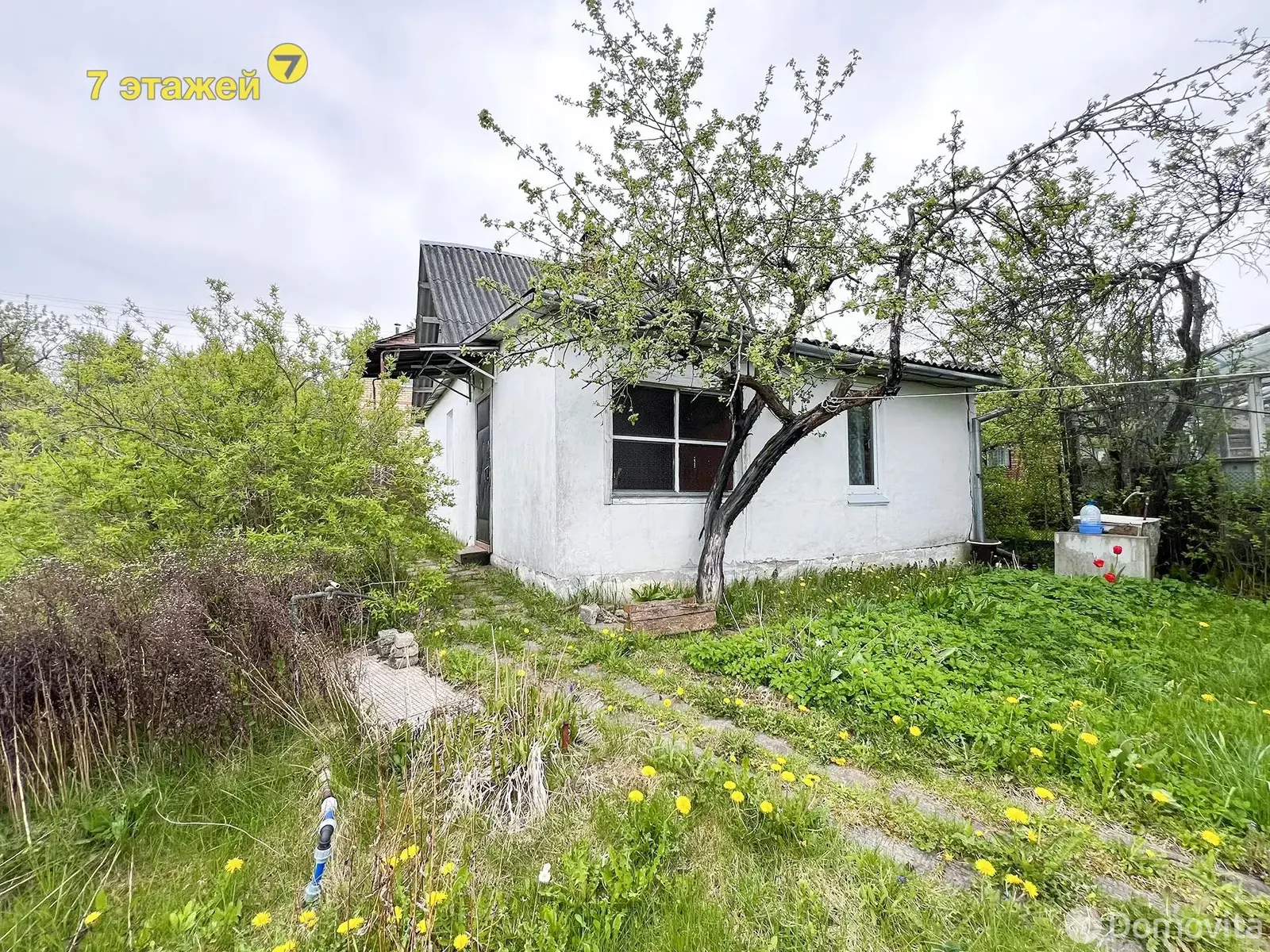 дача, Камвольщик, 