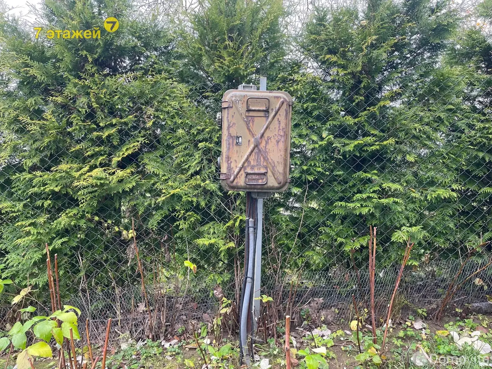 Купить земельный участок, 15.78 соток, Чики, Минская область, 44000USD, код 571232 - фото 18