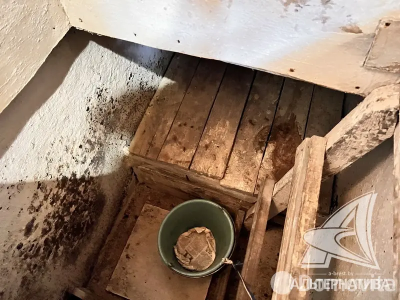 Продажа 2-этажной дачи в Факел Брестгазоаппарат Брестская область, 25000USD, код 184461 - фото 35