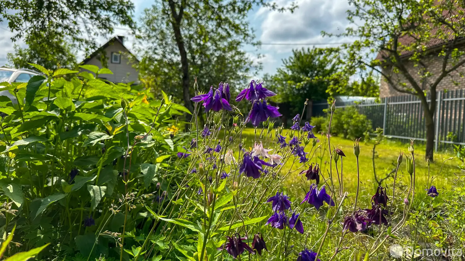 купить дачу, ОРБИТА-82, д. 56