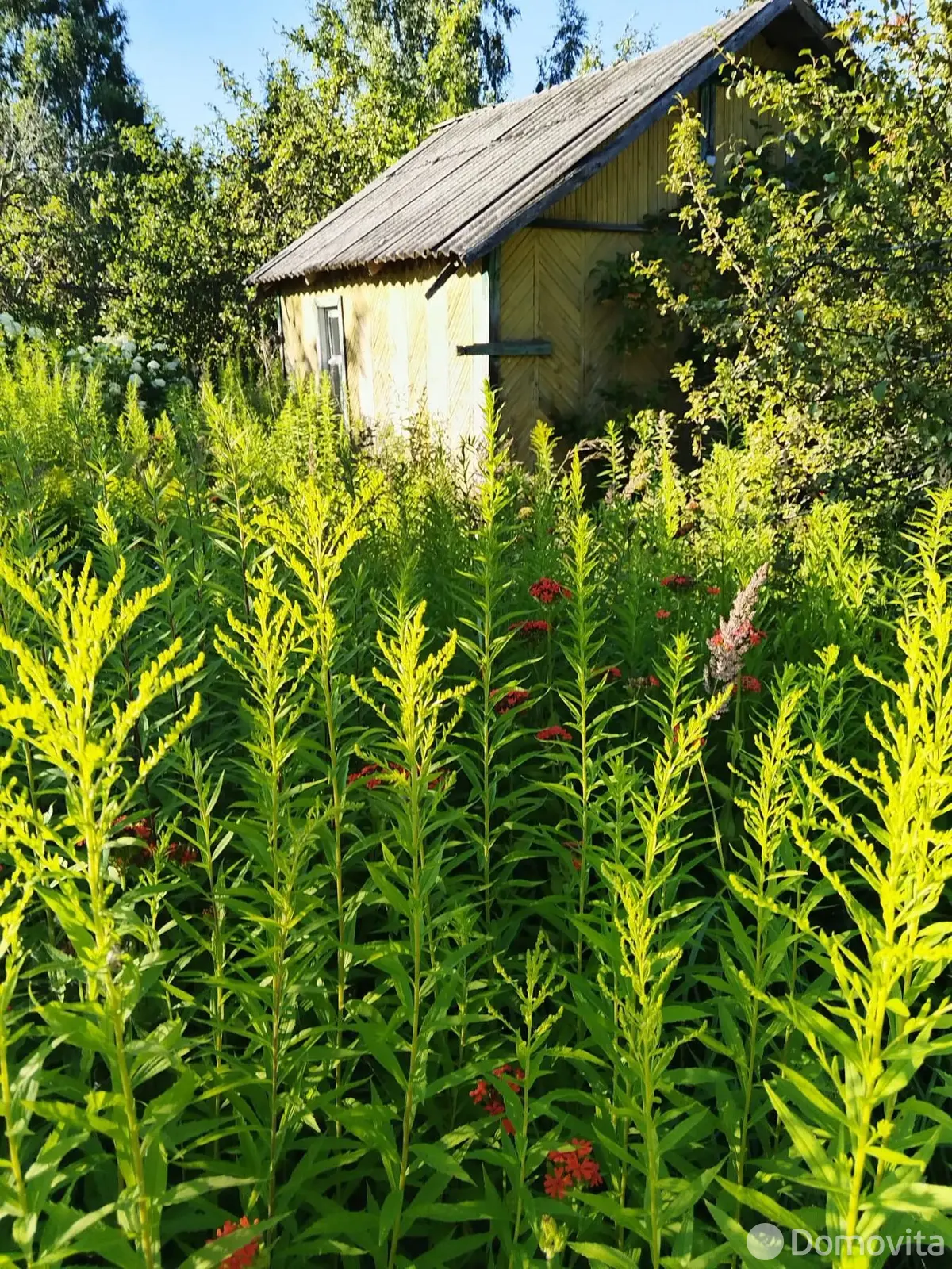 купить участок, Городняны, пер. Горный, д. 7