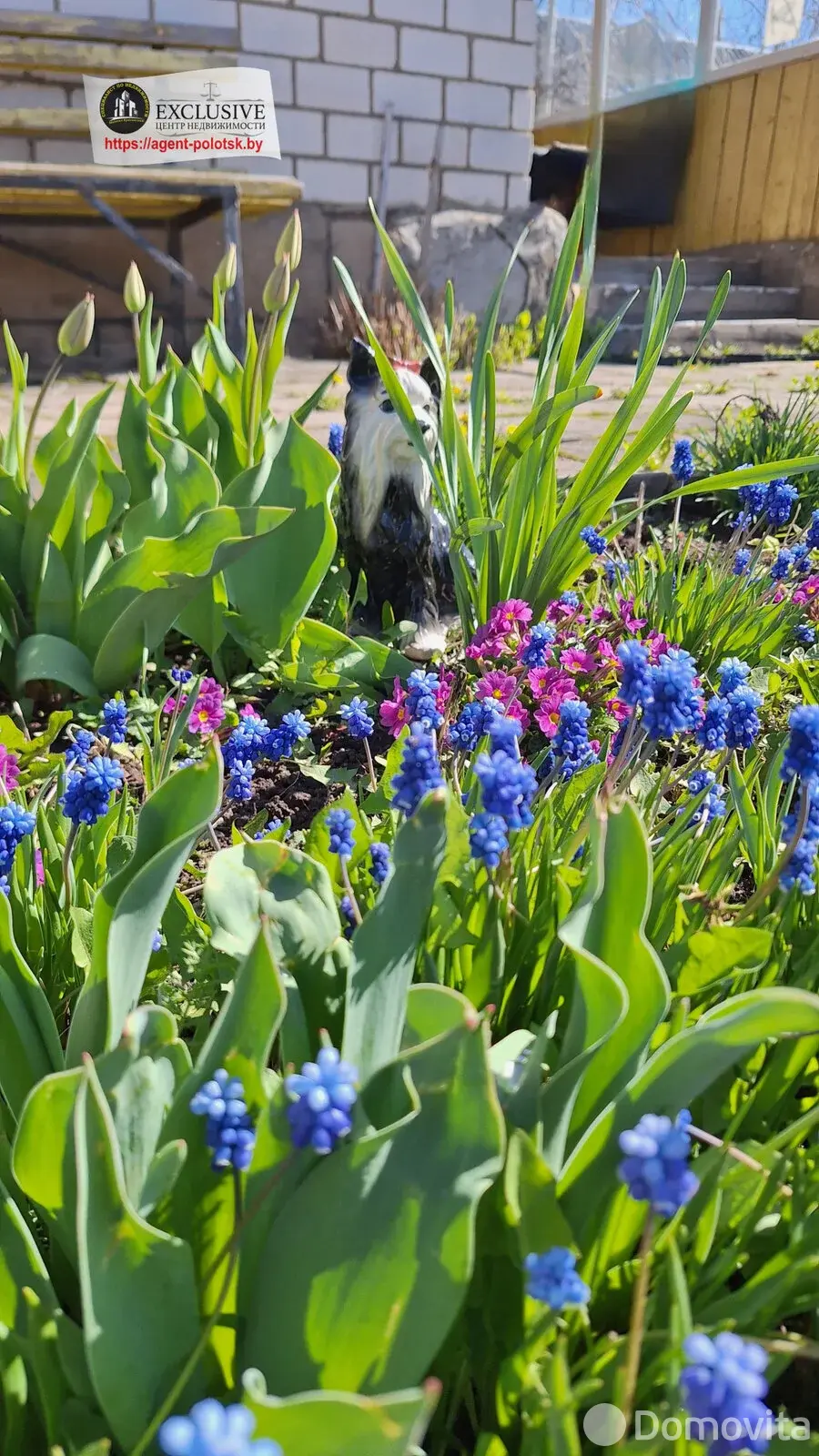 дом, Ольховцы, ул. Соловьиная, д. 2