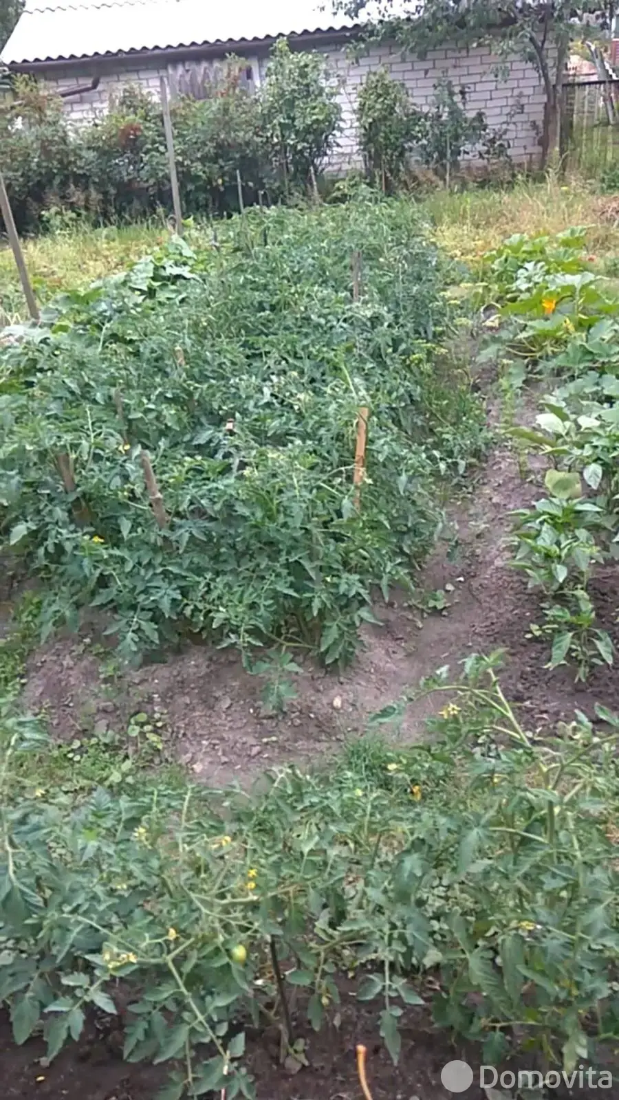 дача, Верас, 