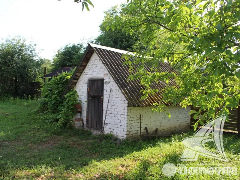 Купить земельный участок, 24.72 соток, Ставище, Брестская область, 10000USD, код 568697 - фото 11