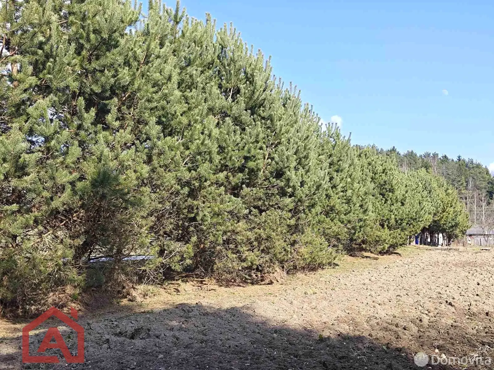 участок, Мочаны, ул. Заречная, д. 33А 