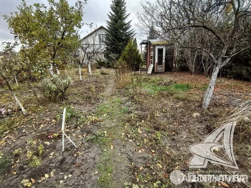 Продажа 1-этажной дачи в Машиностроитель Брестская область, 42000USD, код 184448 - фото 15