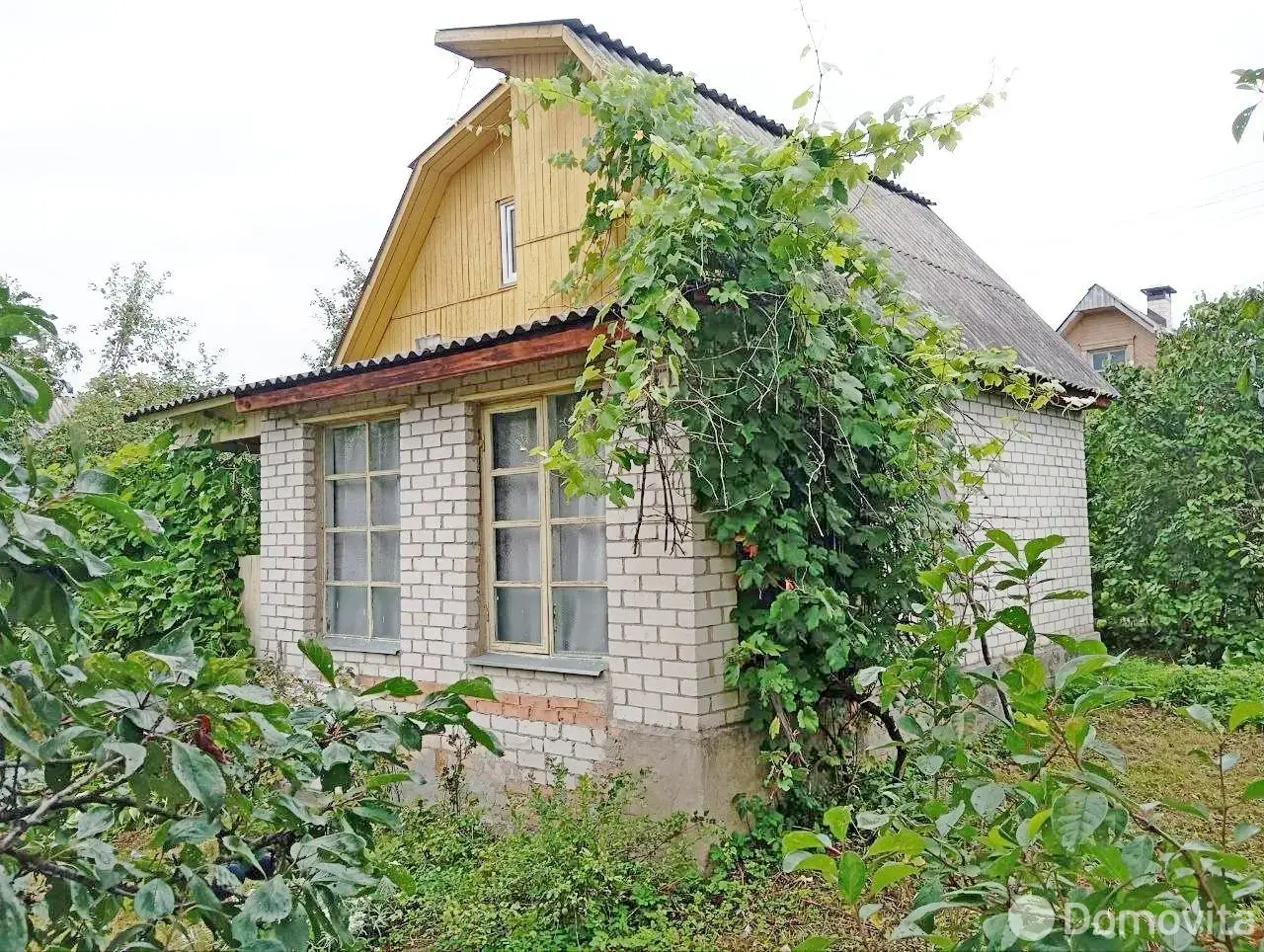 дача, Шарик, д. 590 