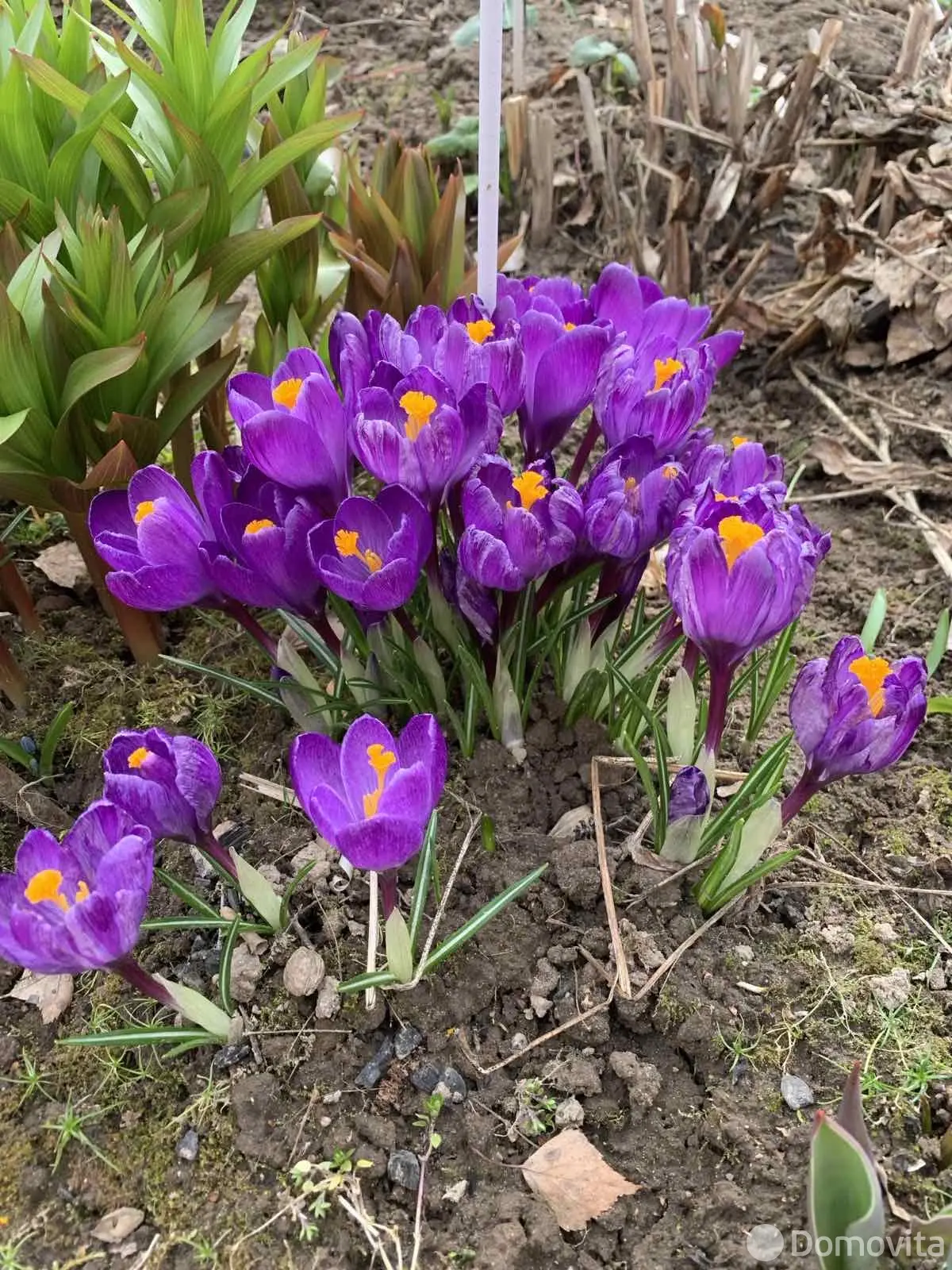 Продажа 3-этажной дачи в МЕДТЕХНИК Минская область, 14900USD, код 182578 - фото 25